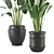 Lush Indoor Plant Set - 202 3D model small image 3