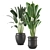 Lush Indoor Plant Set - 202 3D model small image 4