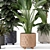 Elegant Cecilia Ficonstone Indoor Planters 3D model small image 2