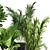 Concrete Jungle Plant Collection: 173 Indoor/Outdoor Trees, Bushes, and Palms 3D model small image 4