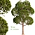 Exterior Tree Design: V-Ray Compatible 3D model small image 3