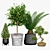 Evergreen Tree Set: Spruce, Mandarin, Bonsai, Cycad 3D model small image 1
