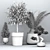 Evergreen Tree Set: Spruce, Mandarin, Bonsai, Cycad 3D model small image 7