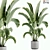 15-Piece Indoor Plant Set: V-Ray/Corona, 46,209 Polys, 2015 Version 3D model small image 1