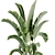 15-Piece Indoor Plant Set: V-Ray/Corona, 46,209 Polys, 2015 Version 3D model small image 8