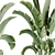 15-Piece Indoor Plant Set: V-Ray/Corona, 46,209 Polys, 2015 Version 3D model small image 9