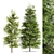 Real Tree Models for 3dsMax and OBJ 3D model small image 2