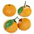 Costa Nova Pearl Fruit Bowl - Elegant Tangerine Display 3D model small image 4