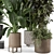 Ferm Living Bau Pot Large Set: Stylish Indoor Plants 3D model small image 5