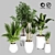 Indoor Plant Collection: 27 Varieties 3D model small image 1