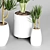 Indoor Plant Collection: 27 Varieties 3D model small image 5