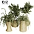 Indoor Plant Collection - 29 Varieties 3D model small image 1