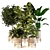 Nature's Oasis: Indoor Plant Set 3D model small image 1