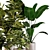 Nature's Oasis: Indoor Plant Set 3D model small image 2