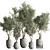 32-Piece Indoor Plant Set 3D model small image 7