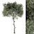 Evergreen Bliss - Set of 63 3D model small image 1