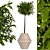 Lush Greenery - Premium Plant Collection 3D model small image 1