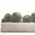 Tropical Exotic Cacti Collection 3D model small image 2