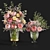 Caspian Rose Flower Set 3D model small image 1