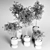Urban Jungle: 30 Indoor Plants 3D model small image 6