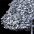 Lindera Megaphylla: 12m Landscape Tree 3D model small image 3