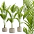 Tropical Majesty Palm Plant 3D model small image 2
