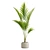Tropical Majesty Palm Plant 3D model small image 4