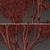 Paperbark Melaleuca Tree Set (2 Trees) 3D model small image 5