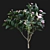 Elegant Japanese Camellia Tree 3D model small image 3