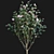 Elegant Japanese Camellia Tree 3D model small image 5