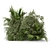 Lush Outdoor Bush Set 446 3D model small image 5