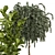  3D Indoor Plants Collection - Set 206 3D model small image 3