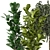  3D Indoor Plants Collection - Set 206 3D model small image 4