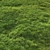 Scattered Grass Patterns 3D model small image 3