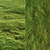 Scattered Grass Patterns 3D model small image 6