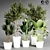  Indoor Plant Collection - 32 Varieties 3D model small image 1