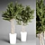  Indoor Plant Collection - 32 Varieties 3D model small image 5