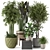 Rustic Indoor Plants - Set 447 3D model small image 1