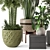 Rustic Indoor Plants - Set 447 3D model small image 2