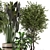 Rustic Indoor Plants - Set 447 3D model small image 5