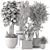 Rustic Indoor Plants - Set 447 3D model small image 7