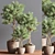 76-Piece Indoor Plant Set: Exquisite Greenery for any Space 3D model small image 3