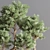 76-Piece Indoor Plant Set: Exquisite Greenery for any Space 3D model small image 6