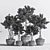 76-Piece Indoor Plant Set: Exquisite Greenery for any Space 3D model small image 7