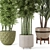 Elegant Indoor Planters - Set 448 3D model small image 3