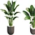 Premium Plant Collection 3D model small image 1