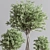 Botanical Haven: Indoor Plant Set 3D model small image 6