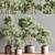 Botanical Bliss Indoor Plant Set 3D model small image 4