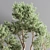 Botanical Bliss Indoor Plant Set 3D model small image 6