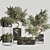 Versatile Indoor Plant Set 3D model small image 1